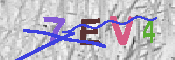 キャプチャ画像
