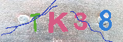 キャプチャ画像