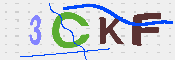 キャプチャ画像
