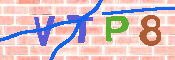 キャプチャ画像