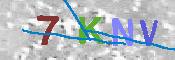 キャプチャ画像
