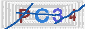 キャプチャ画像