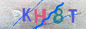 キャプチャ画像