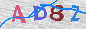 キャプチャ画像