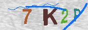 キャプチャ画像