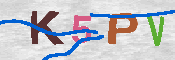 キャプチャ画像
