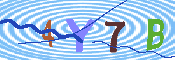 キャプチャ画像
