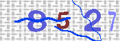 キャプチャ画像