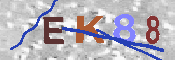 キャプチャ画像