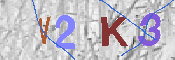 キャプチャ画像
