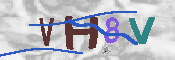 キャプチャ画像