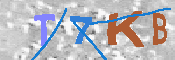 キャプチャ画像