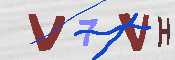 キャプチャ画像