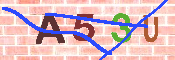 キャプチャ画像
