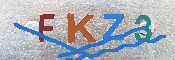 キャプチャ画像