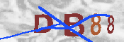 キャプチャ画像