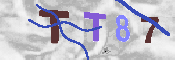 キャプチャ画像
