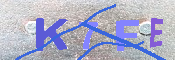 キャプチャ画像