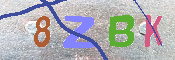 キャプチャ画像