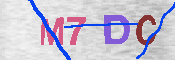 キャプチャ画像