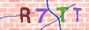 キャプチャ画像