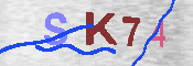 キャプチャ画像