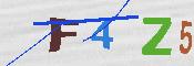キャプチャ画像