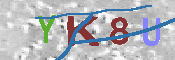 キャプチャ画像