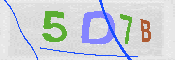 キャプチャ画像