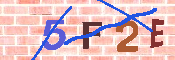 キャプチャ画像
