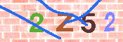 キャプチャ画像