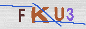 キャプチャ画像