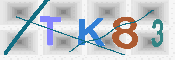 キャプチャ画像