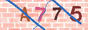 キャプチャ画像