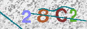 キャプチャ画像