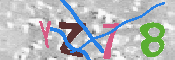 キャプチャ画像