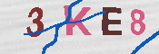 キャプチャ画像