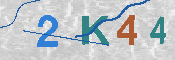 キャプチャ画像