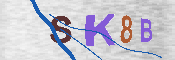 キャプチャ画像