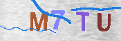 キャプチャ画像