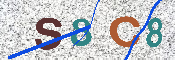 キャプチャ画像