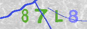 キャプチャ画像