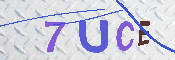 キャプチャ画像