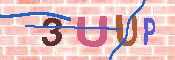 キャプチャ画像