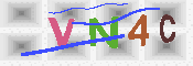 キャプチャ画像