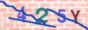 キャプチャ画像
