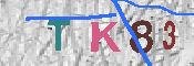 キャプチャ画像