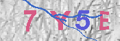 キャプチャ画像