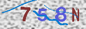 キャプチャ画像