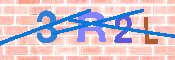 キャプチャ画像
